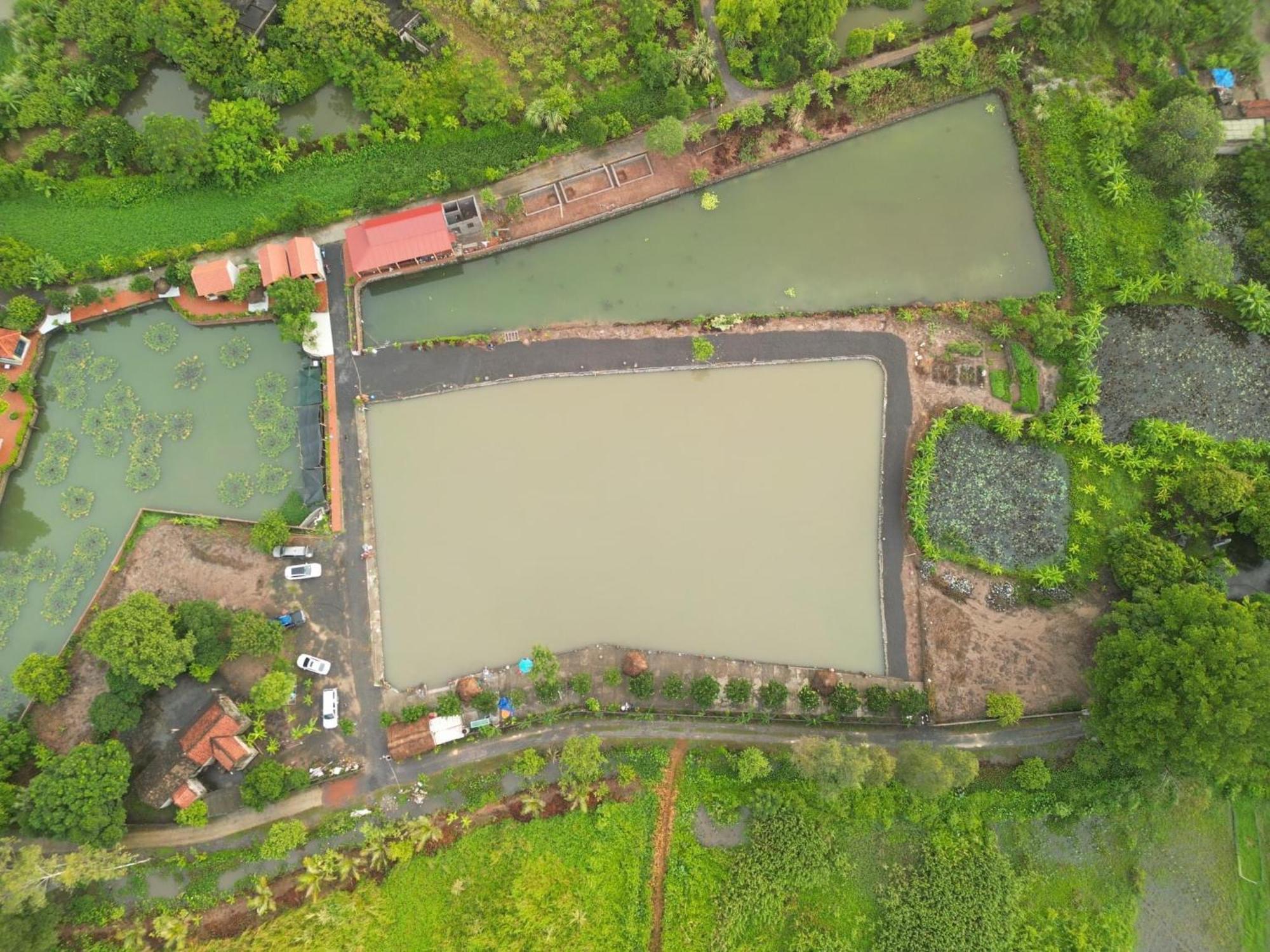 Tam Coc Cat Luong Homestay Νιν Μπιν Εξωτερικό φωτογραφία